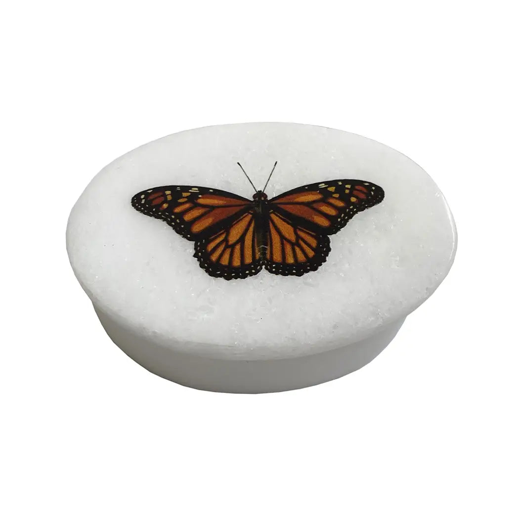 3" & 4" Monarch Butterfly White Oval Soapstone Jewelry Box
