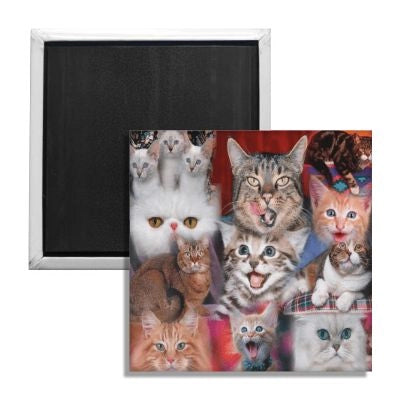 Square Cat Collage Magnet