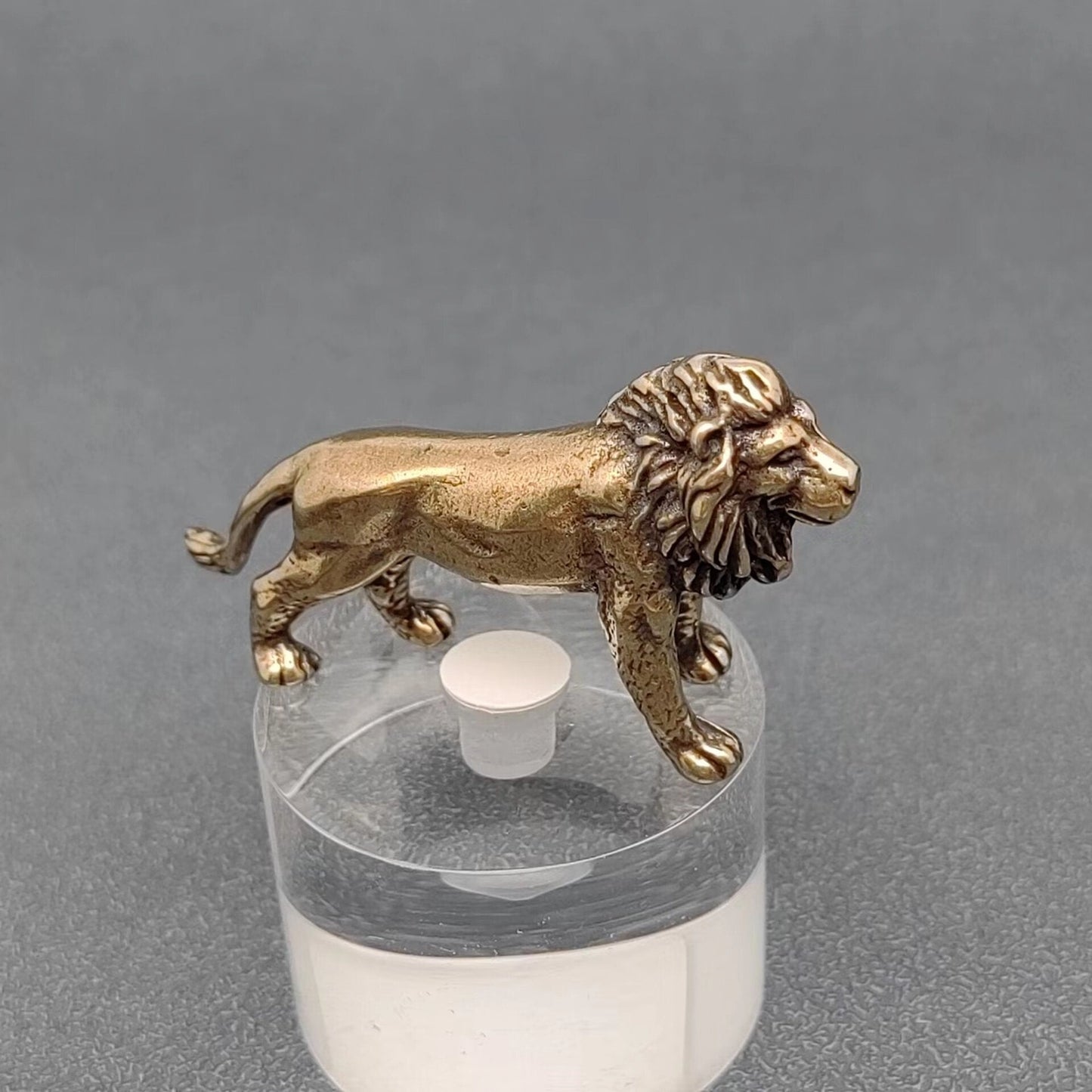 Brass Lion