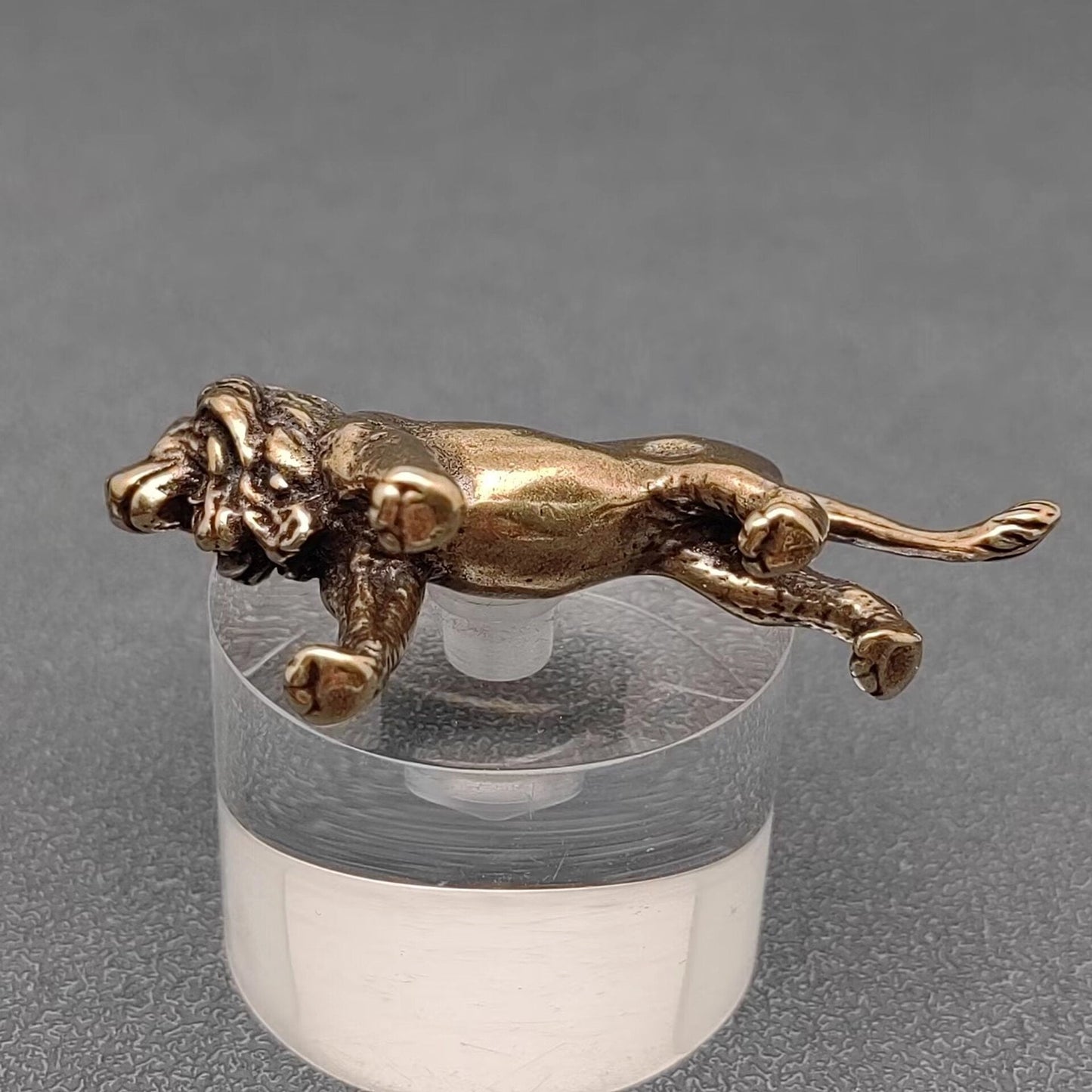 Brass Lion