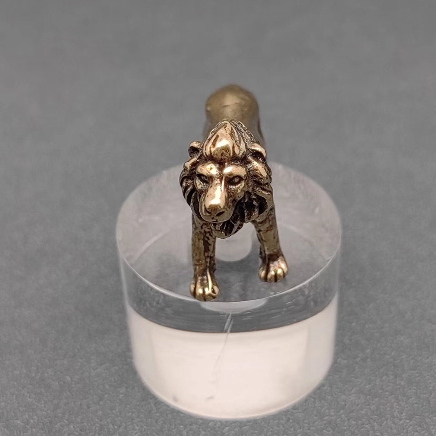 Brass Lion