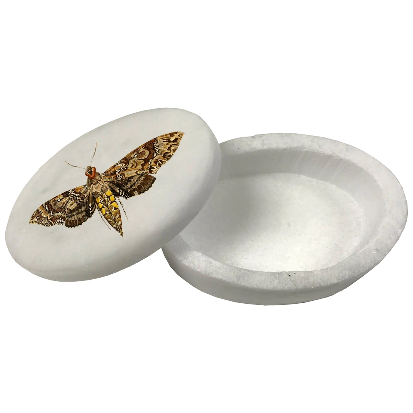 3" & 4" Hawk Moth White Oval Soapstone Trinket-Jewelry Box