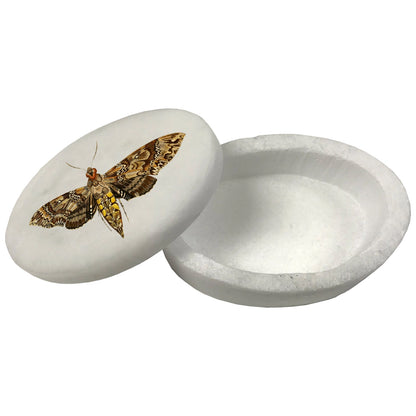 3" & 4" Hawk Moth White Oval Soapstone Trinket-Jewelry Box