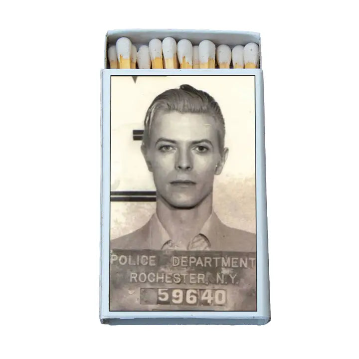 Celebrity Mugshot Matches