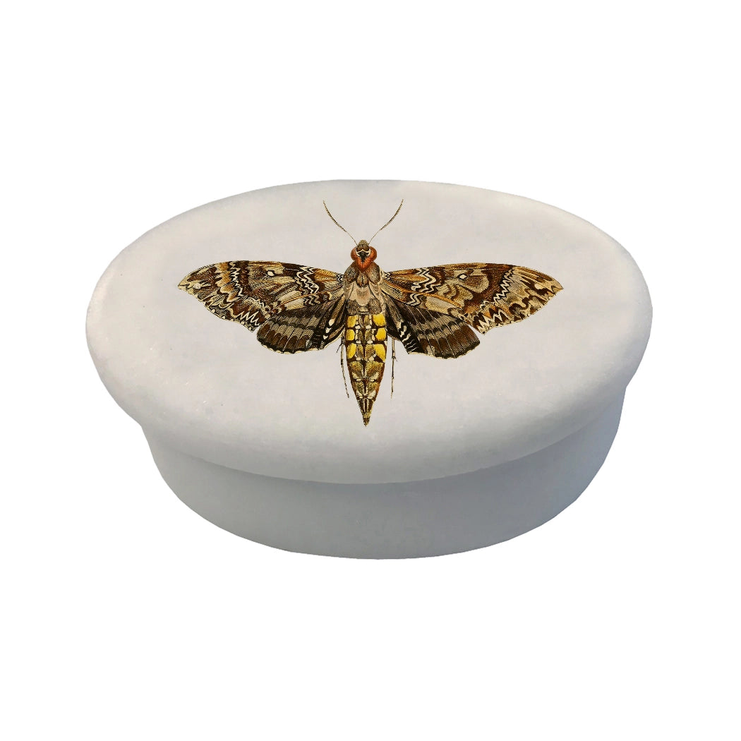 3" & 4" Hawk Moth White Oval Soapstone Trinket-Jewelry Box