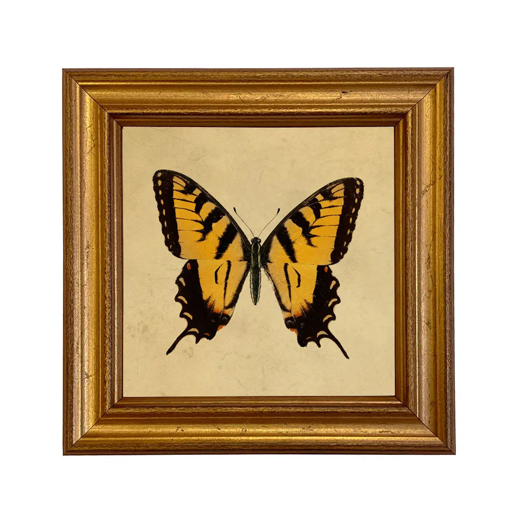Tiger Swallowtail Butterfly Vintage Style Illustration Print