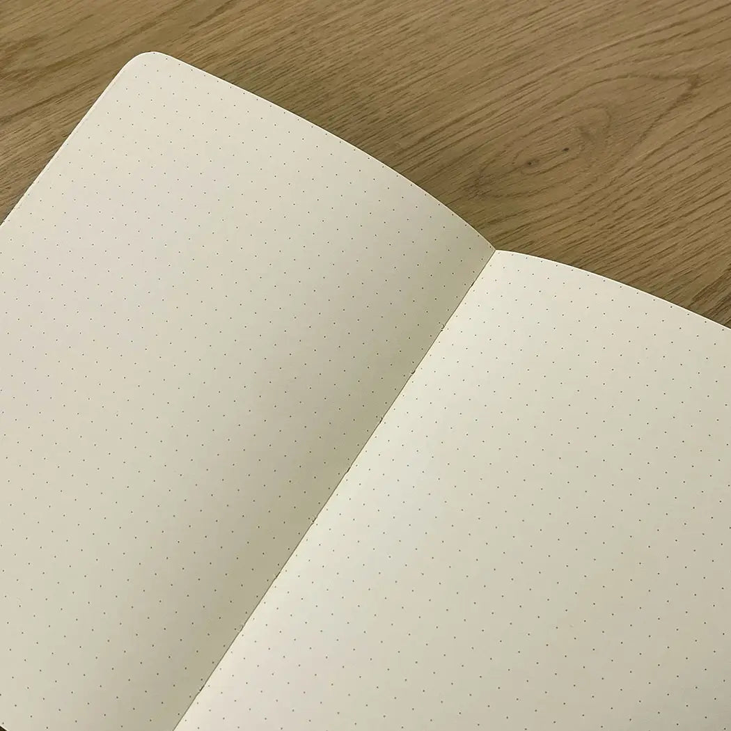 Analog Memory Backup Journal