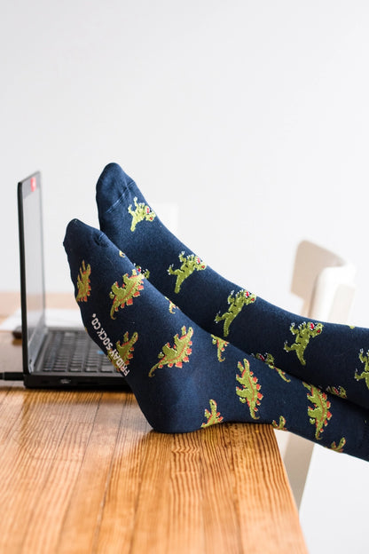 Mismatched Dinosaur Socks