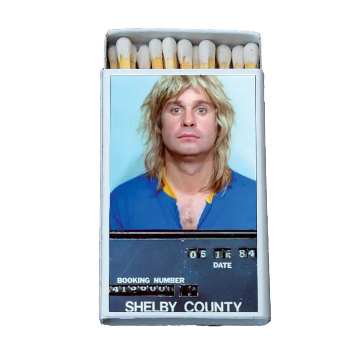 Celebrity Mugshot Matches