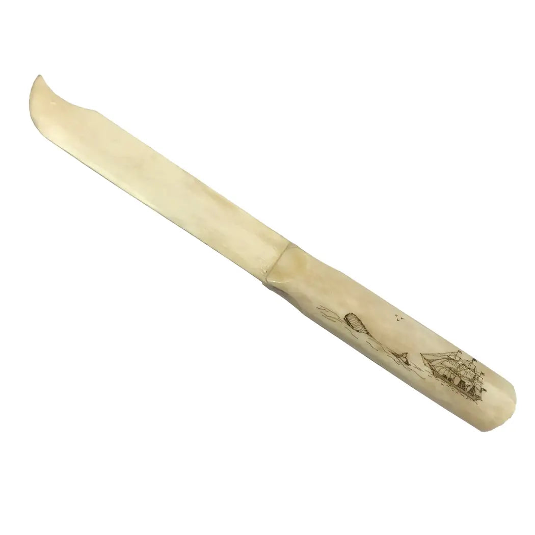 9" Bone Letter Opener