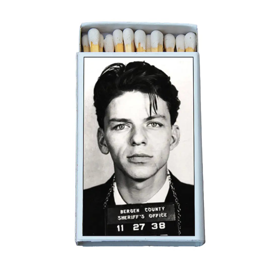 Celebrity Mugshot Matches