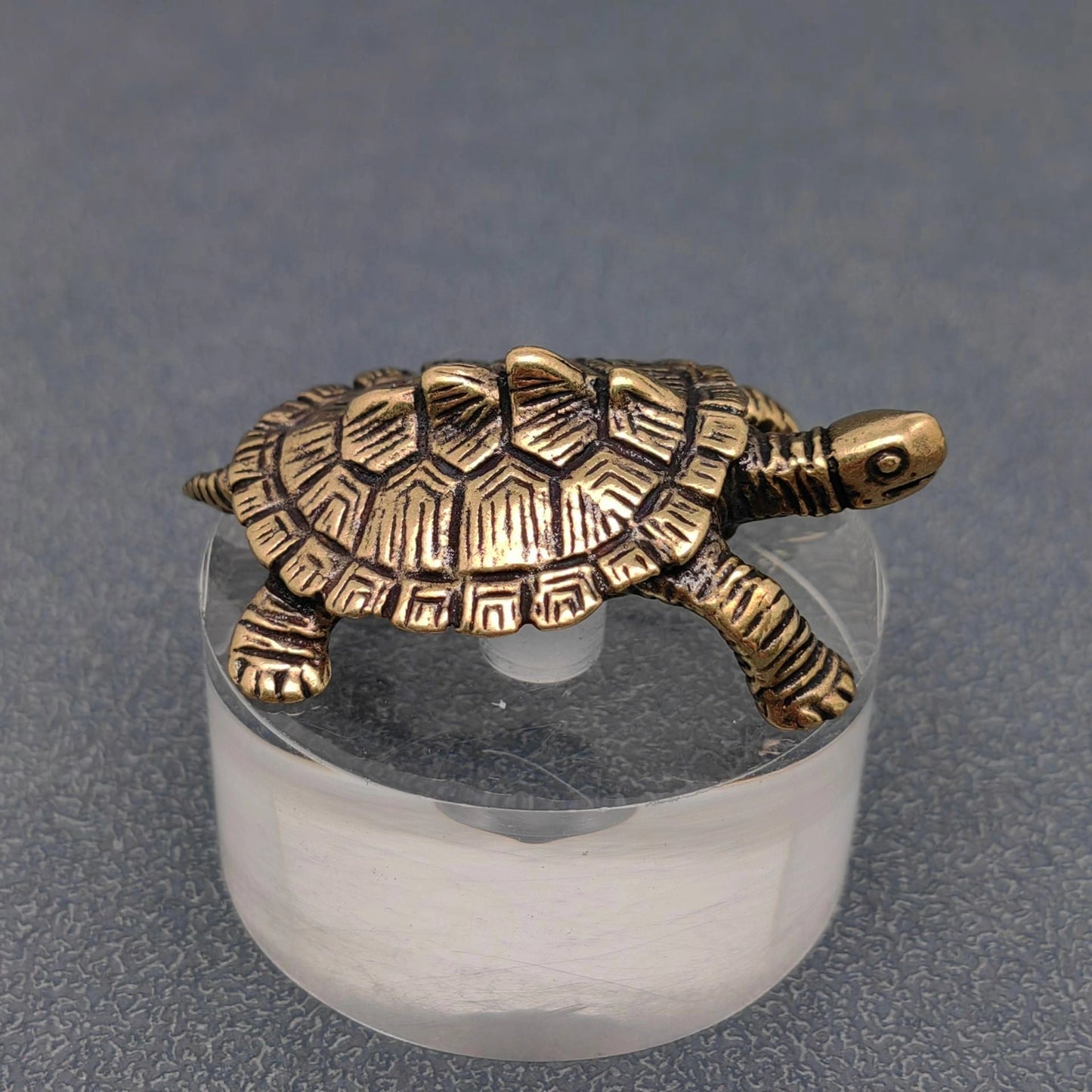 Brass Turtle