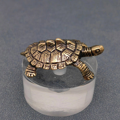 Brass Turtle