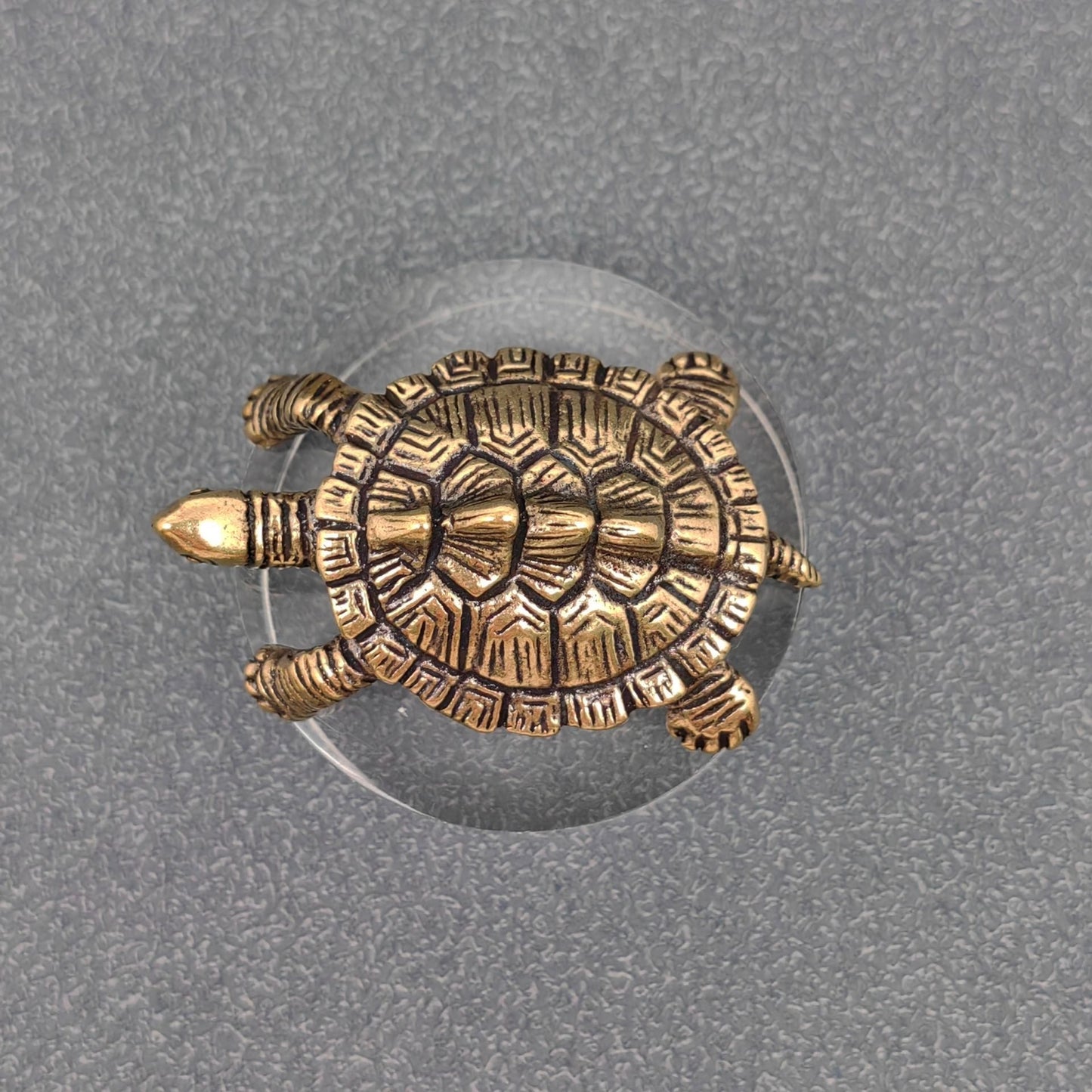 Brass Turtle