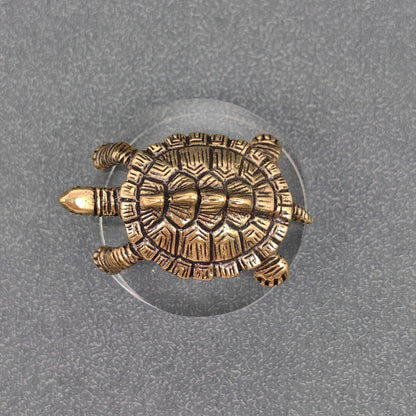 Brass Turtle
