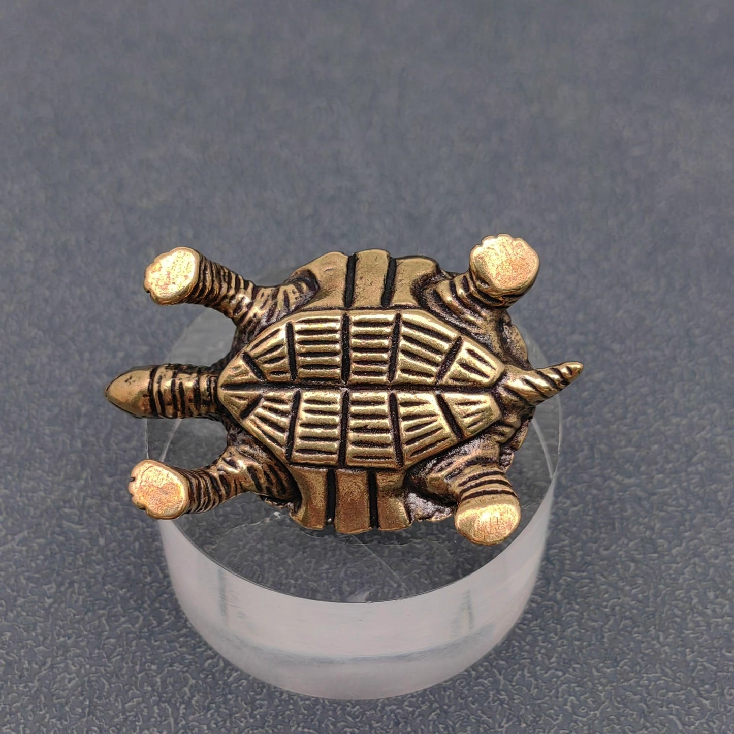 Brass Turtle