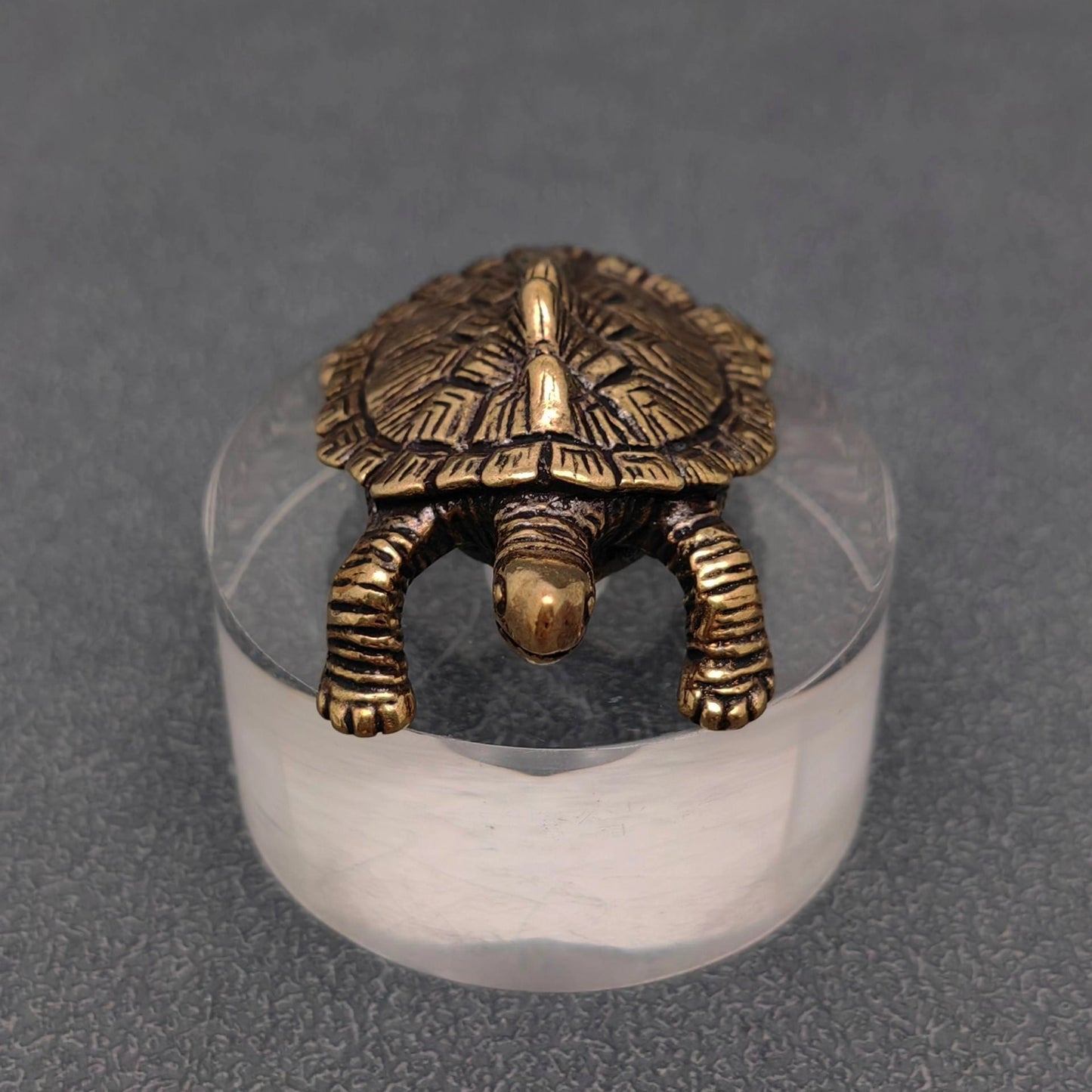Brass Turtle