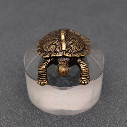 Brass Turtle